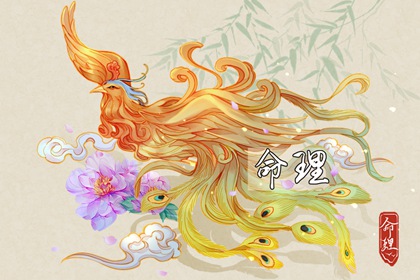 择吉老皇历,择吉皇历,老皇历万年历